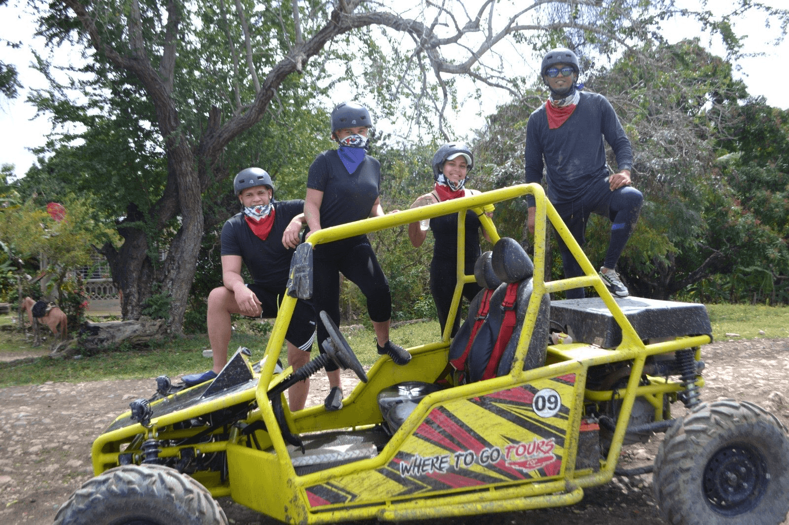 Buggies