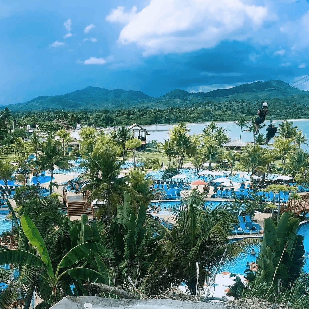 Palms, pools and adventure