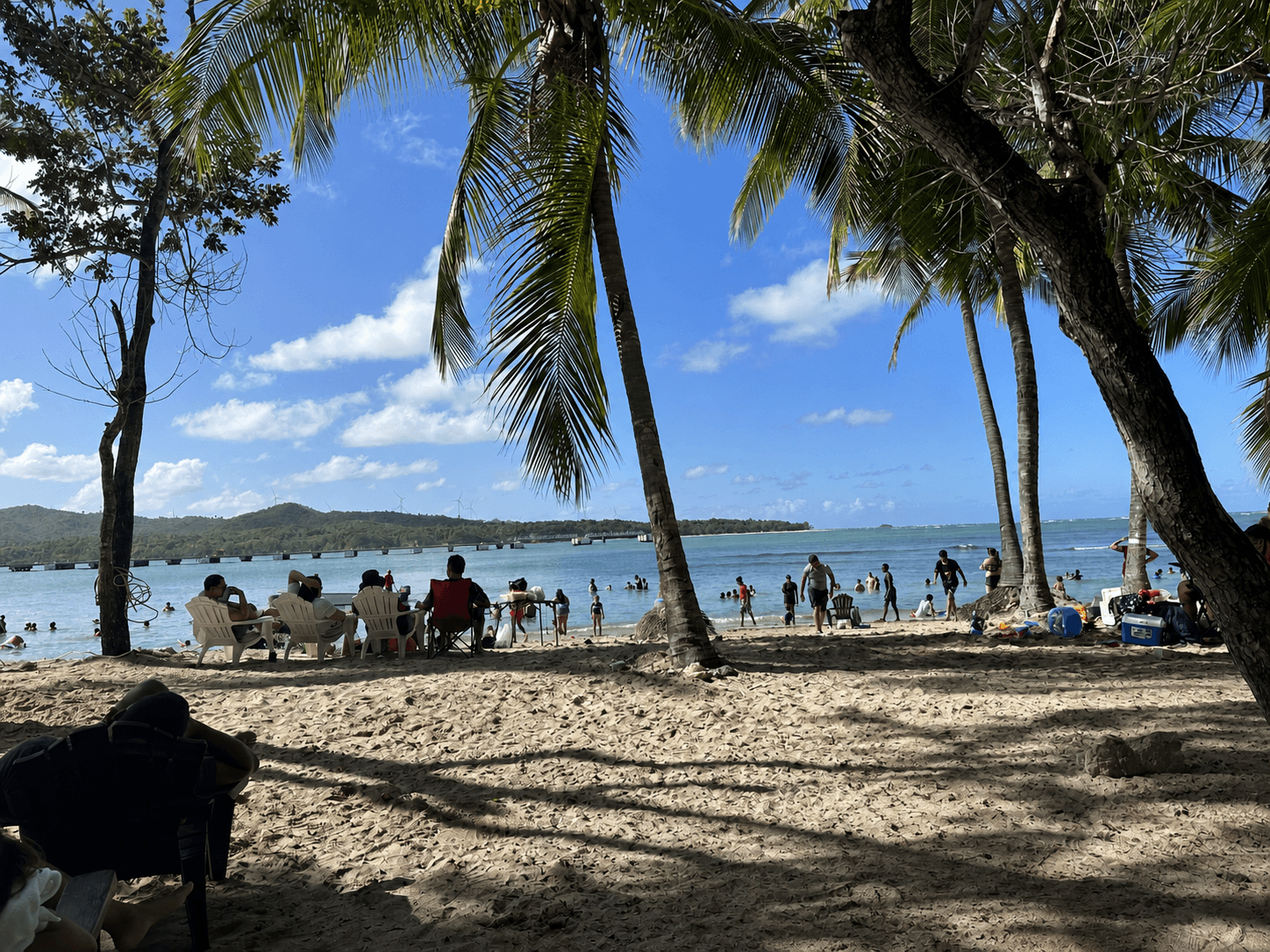 Tropical beach framed by palm trees in Puerto Plata