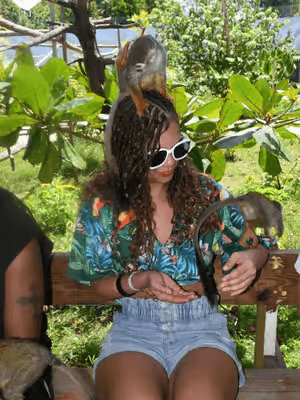 Butterflies and Monkeys